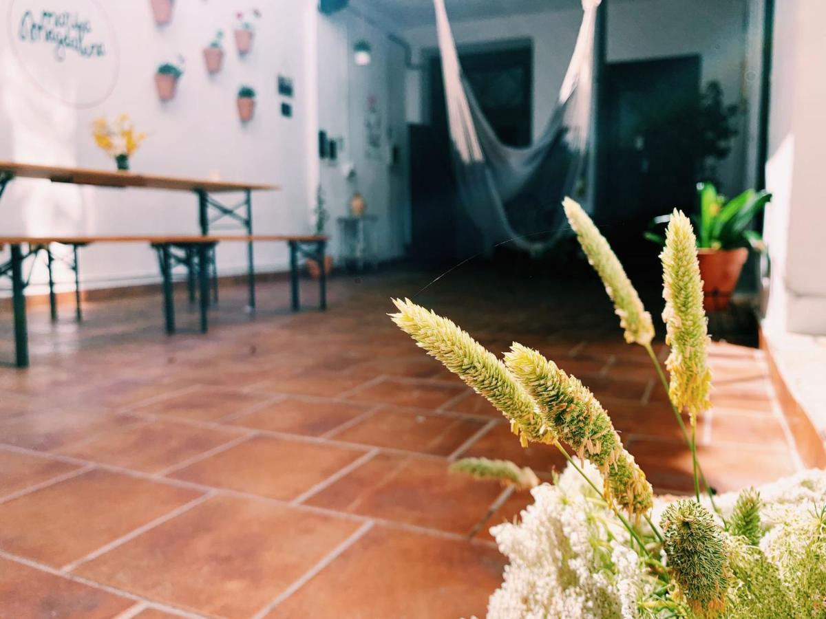 Maria Magdalena - Room 1 Málaga Dış mekan fotoğraf