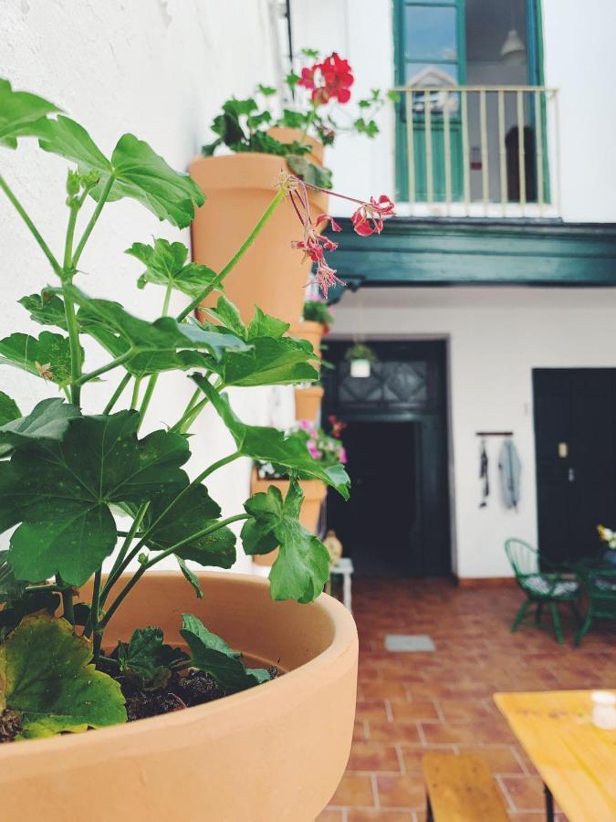 Maria Magdalena - Room 1 Málaga Dış mekan fotoğraf