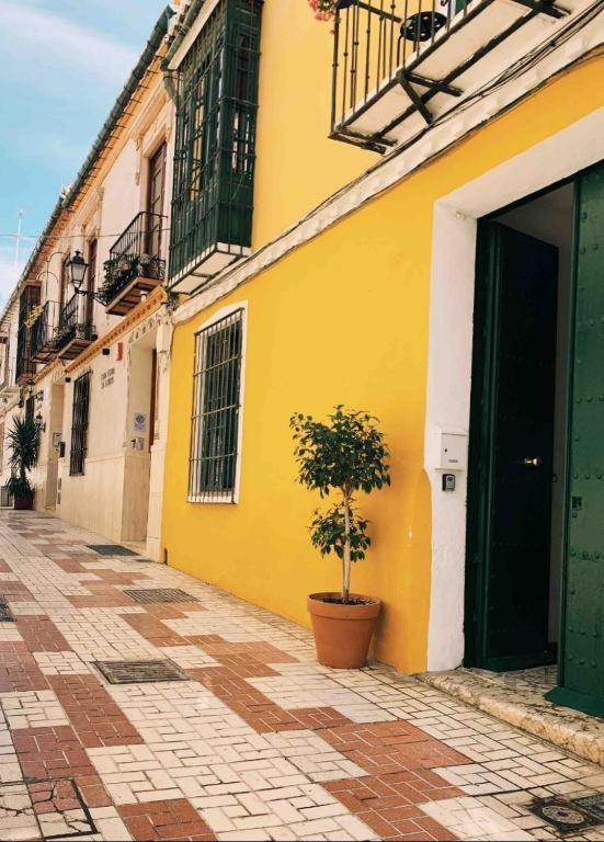 Maria Magdalena - Room 1 Málaga Dış mekan fotoğraf